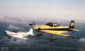 N1117M  N81LK Formation1.jpg 1.8K